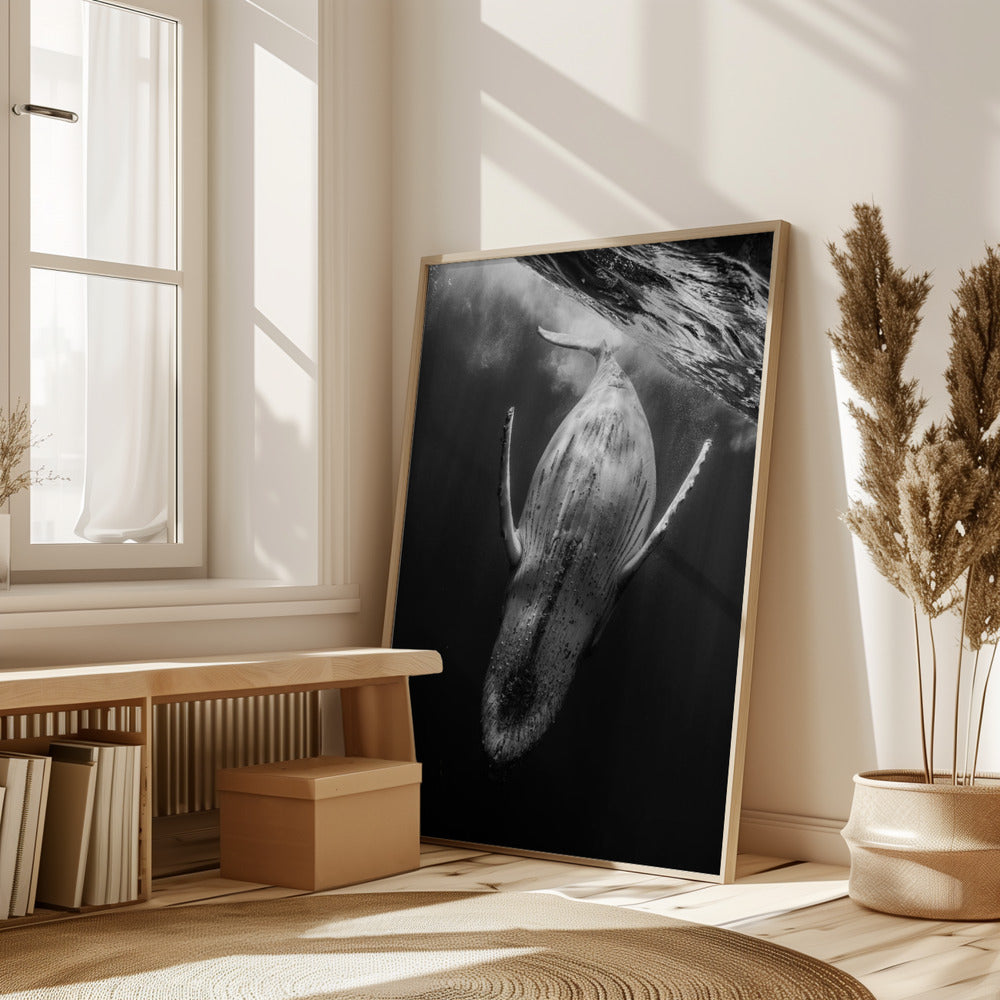 Black & Whale Poster